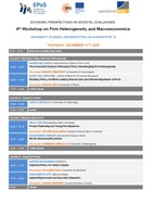 Program_Firm_Heterogeneity_Macro.pdf