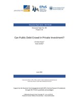 Can Public Debt Crowd in Private Investment?
