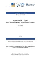 Crowded Career Ladders? Intra-Firm Spillovers of Raised Retirement Age
