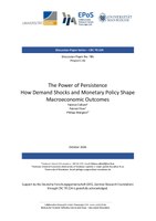 The Power of Persistence How Demand Shocks and Monetary Policy Shape Macroeconomic Outcomes